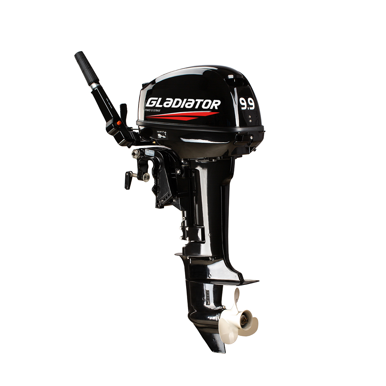 ЛОДОЧНЫЙ МОТОР GLADIATOR G9.9FHS в Ростове-на-Дону