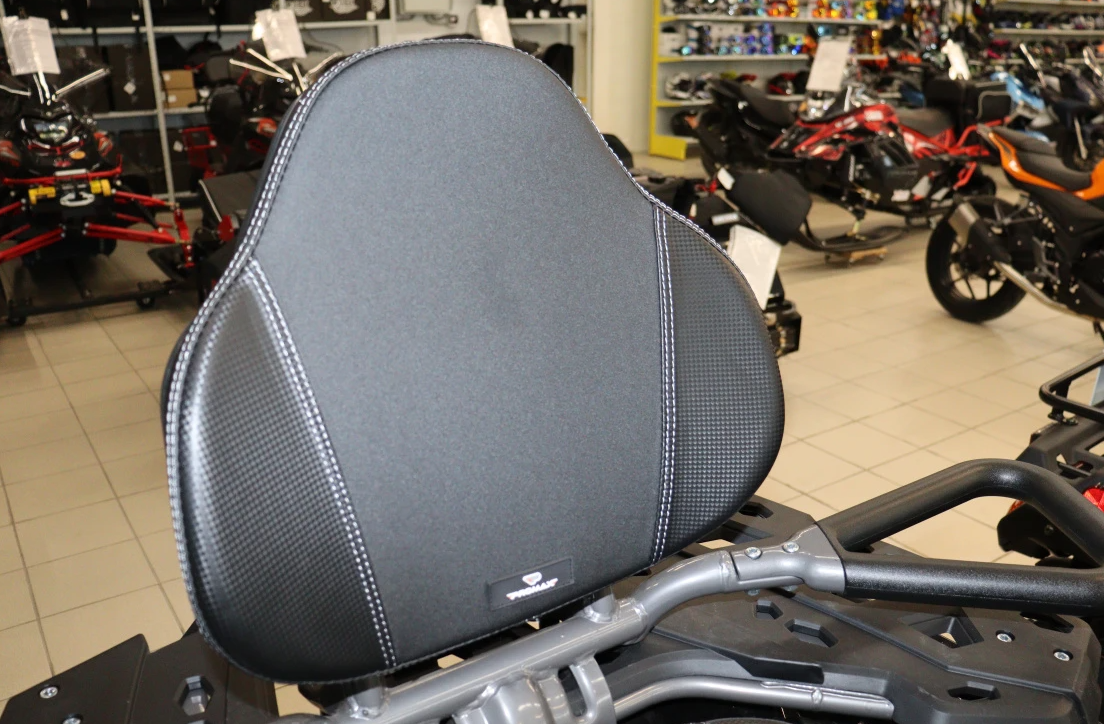 Квадроцикл PROMAX RENEGADE 300 LONG WINCH PRO (2025) в Ростове-на-Дону