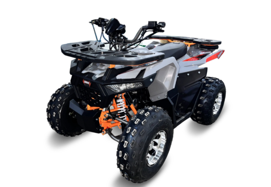 Квадроцикл GBM DAXTER 220 NEW PREMIUM в Ростове-на-Дону