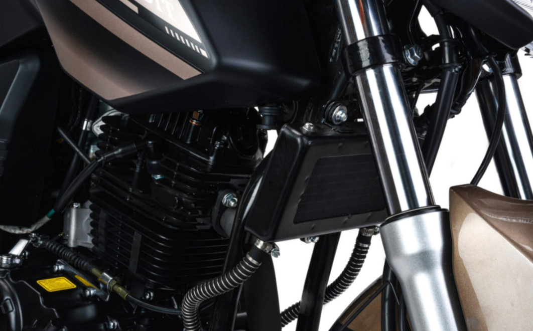 Мотоцикл MOTOLAND (МОТОЛЕНД) 300 BANDIT в Ростове-на-Дону