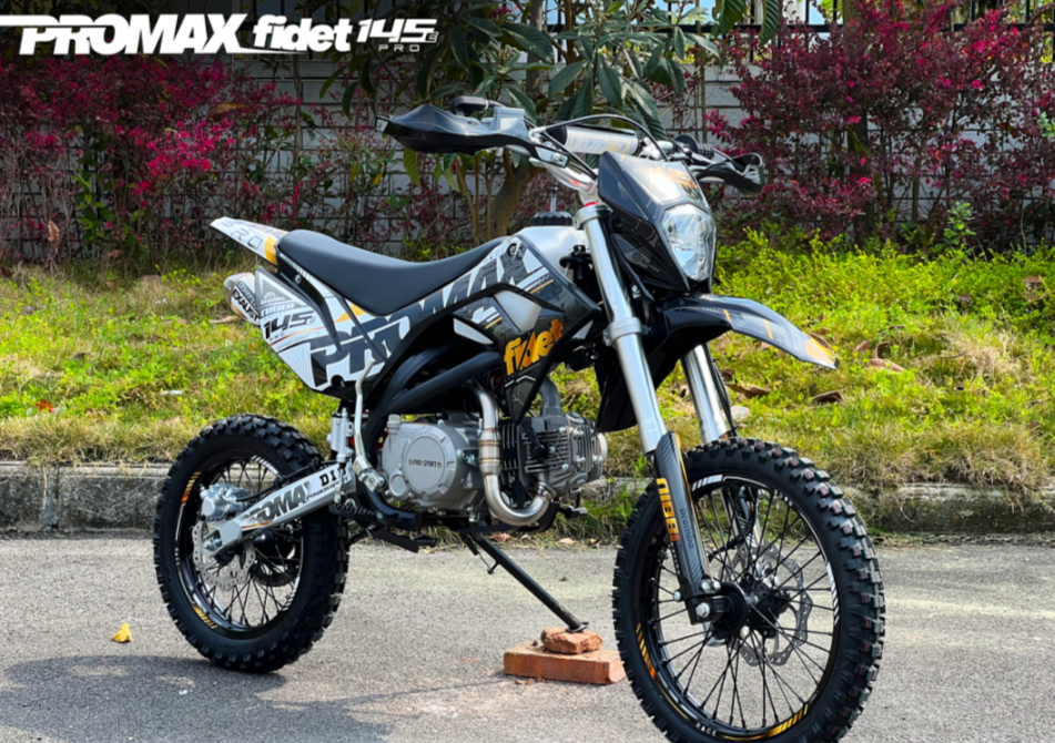 Мотоцикл (питбайк) PROMAX FIDET (ФАЙДЕТ) 145E PRO 17/14 в Ростове-на-Дону