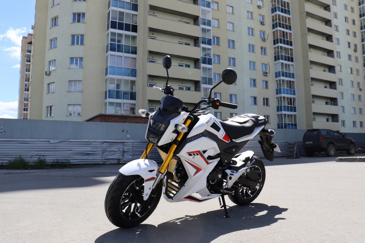 Мотоцикл PROMAX STRYKER 200(49) 2.0 в Ростове-на-Дону