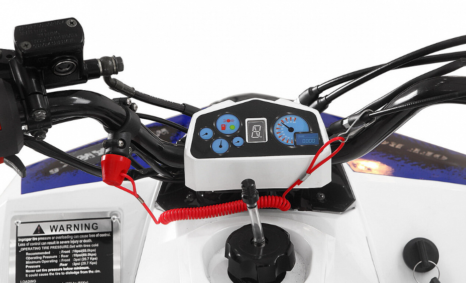 Квадроцикл Yacota Raposa 110 в Ростове-на-Дону