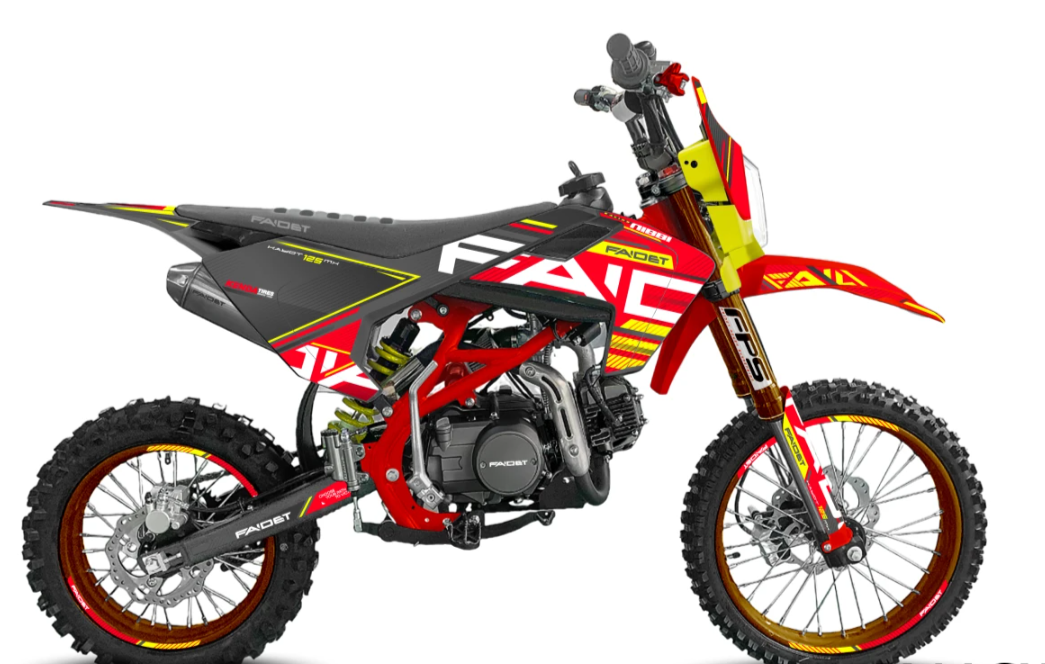 Питбайк FAIDET KAYOT 150E-PRO 19/16 в Ростове-на-Дону