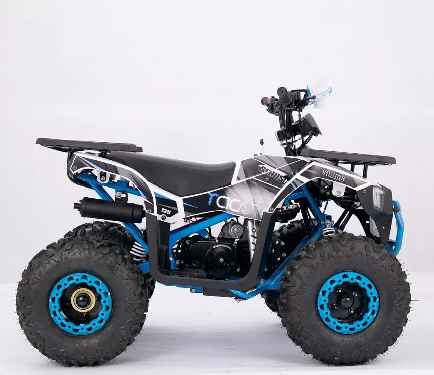 Квадроцикл YACOTA SIRIUS 110 в Ростове-на-Дону