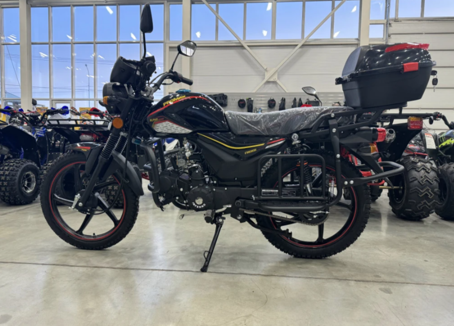 Мопед PROMAX ALPHA TOURIST 150(49) LUX в Ростове-на-Дону
