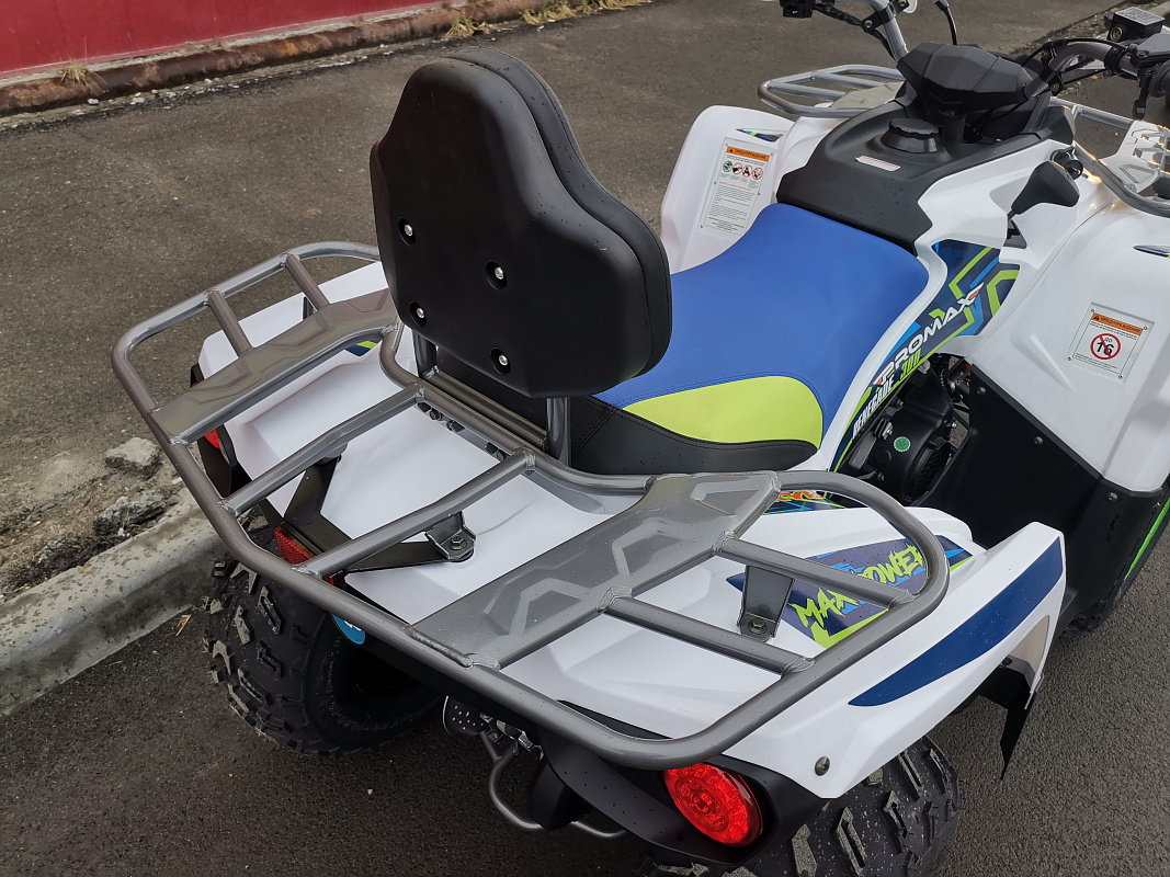 Квадроцикл PROMAX RENEGADE 280 LUX (2025) в Ростове-на-Дону