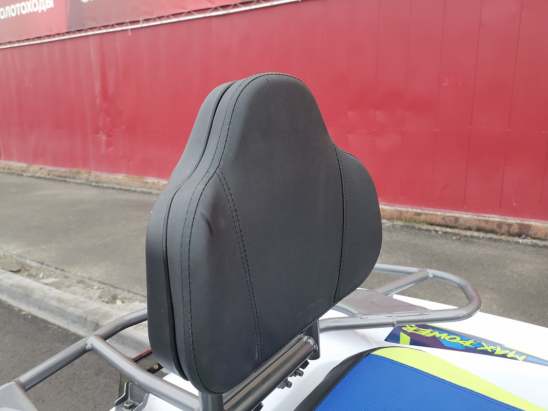 Квадроцикл PROMAX RENEGADE 280 LUX (2025) в Ростове-на-Дону