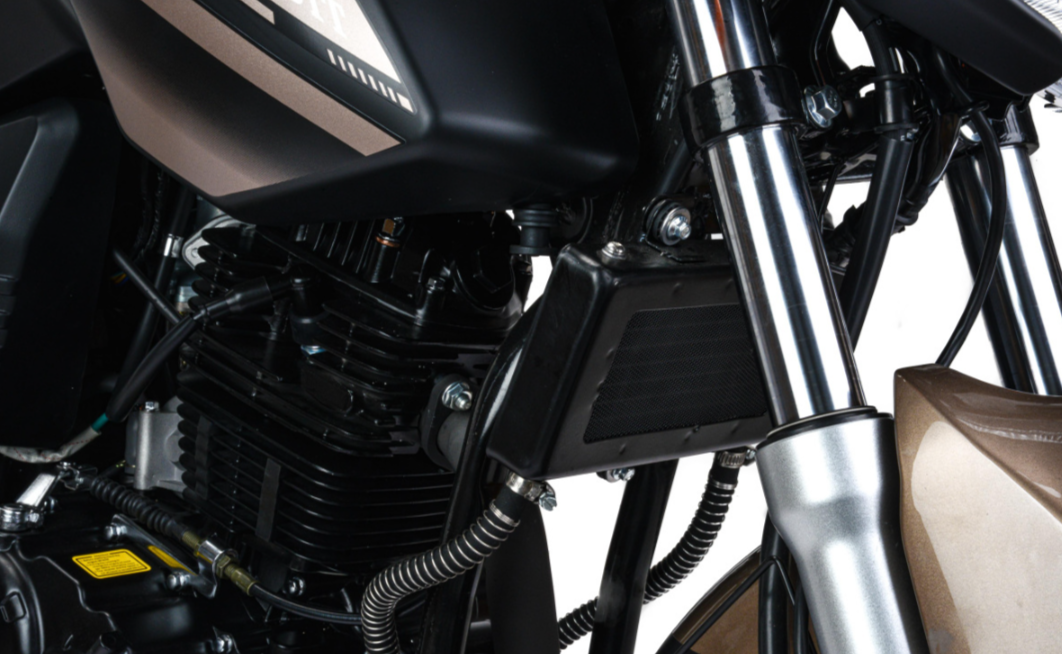 Мотоцикл MOTOLAND (МОТОЛЕНД) 300 BANDIT в Ростове-на-Дону