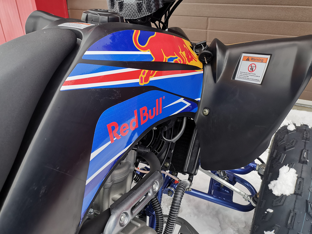 Квадроцикл PROMAX RAPTOR 300 NEW RedBull в Ростове-на-Дону