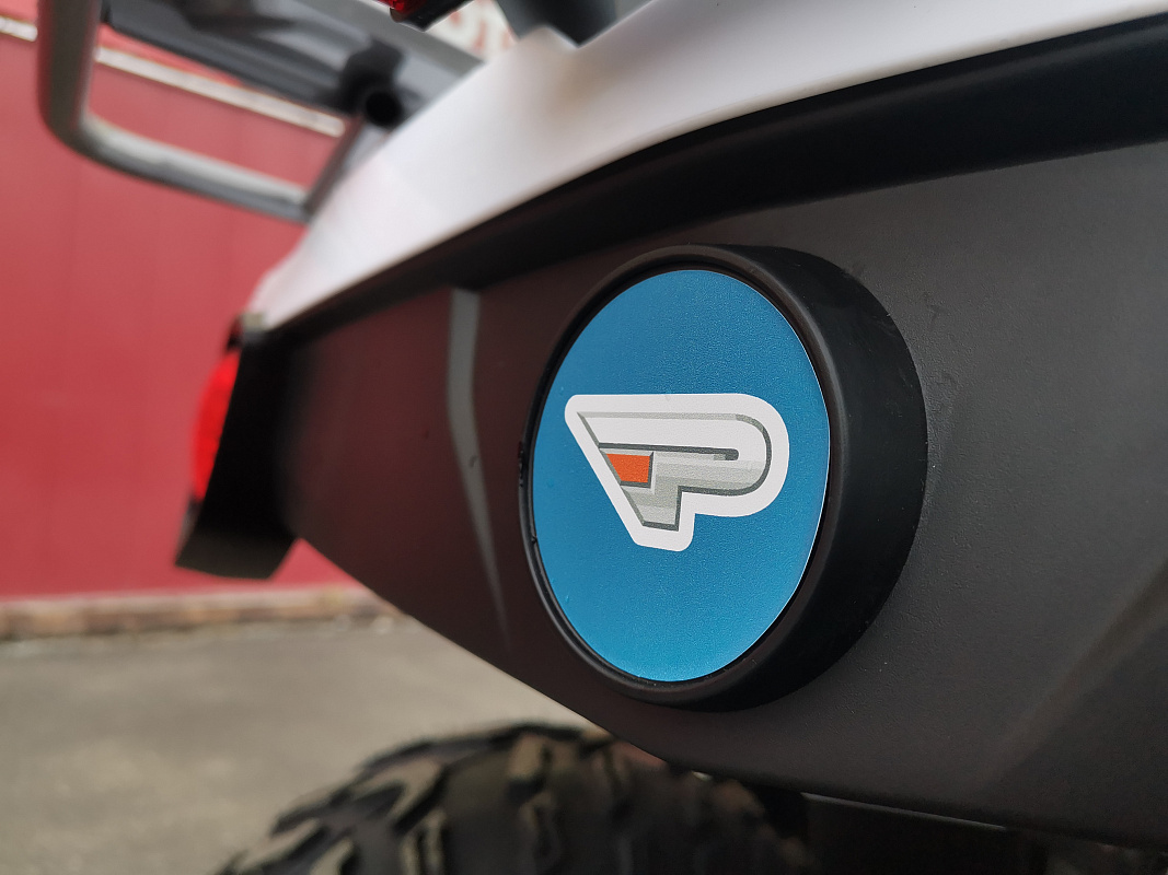 Квадроцикл PROMAX RENEGADE 280 LUX (2025) в Ростове-на-Дону