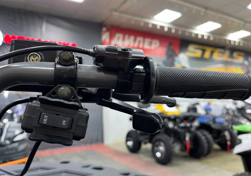 Квадроцикл PROMAX RENEGADE 300 LONG WINCH PRO (2025) в Ростове-на-Дону