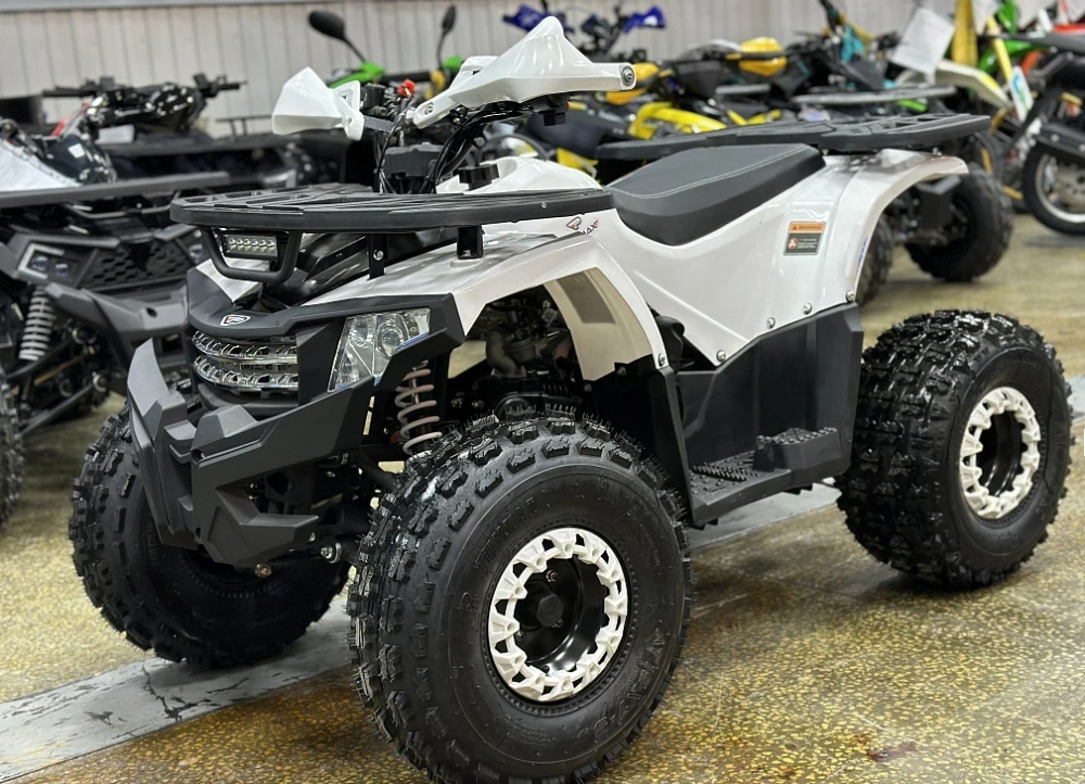 Квадроцикл PROMAX WILD 2.0 190 в Ростове-на-Дону