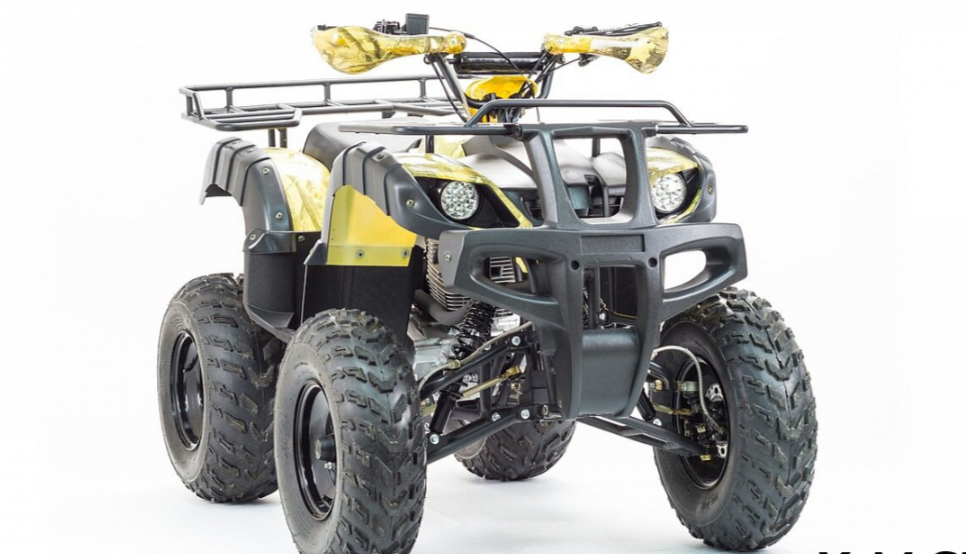 Квадроцикл MOTOLAND (МОТОЛЕНД) 250 ADVENTURE в Ростове-на-Дону