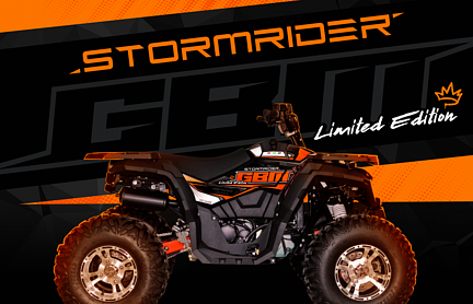 Квадроцикл GBM STORMRIDER 320 NEW LUX в Ростове-на-Дону