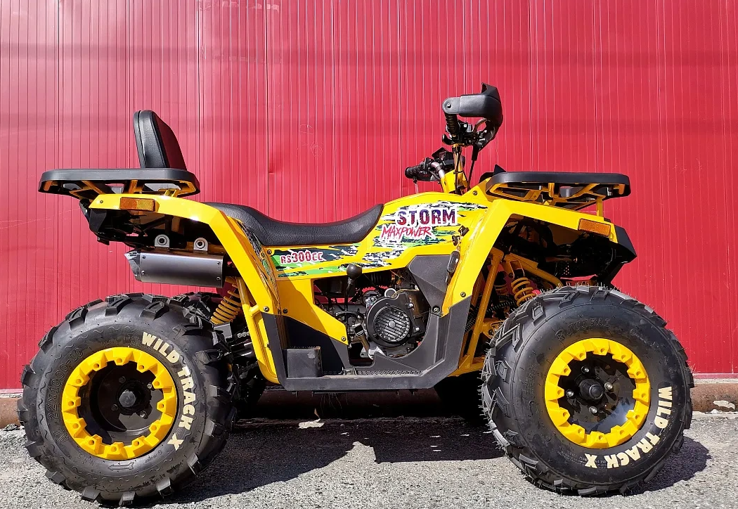 Квадроцикл PROMAX STORM 280 LUX в Ростове-на-Дону