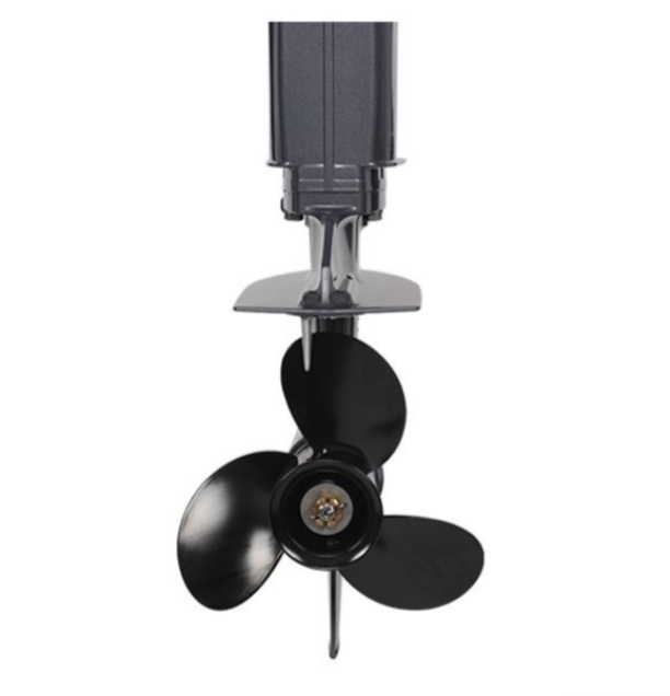 Лодочный мотор ALLFA CG Т40FW S в Ростове-на-Дону