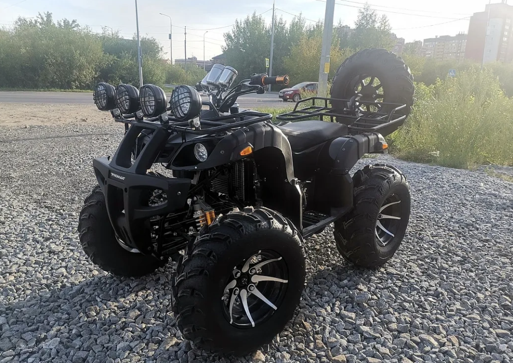 Квадроцикл PROMAX LEO 300 Max (кардан) в Ростове-на-Дону