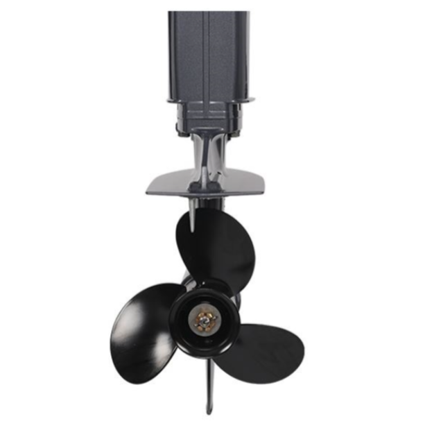 Лодочный мотор ALLFA CG Т40FWT S в Ростове-на-Дону