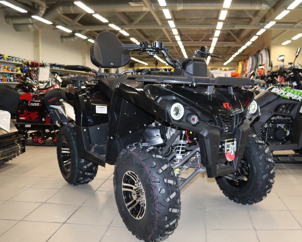 Квадроцикл PROMAX RENEGADE 300 LONG WINCH PRO (2025) в Ростове-на-Дону