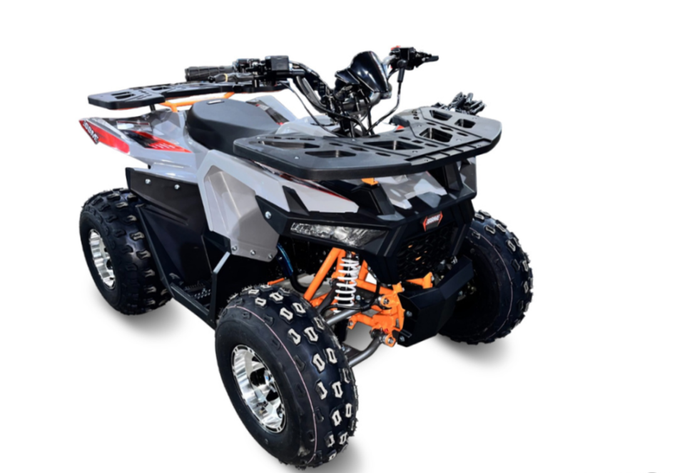 Квадроцикл GBM DAXTER 220 NEW PREMIUM в Ростове-на-Дону