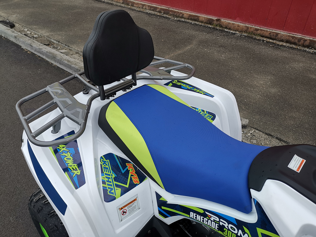 Квадроцикл PROMAX RENEGADE 280 LUX (2025) в Ростове-на-Дону