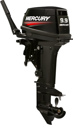 ЛОДОЧНЫЙ МОТОР MERCURY 9.9 MH TMC 247 CC в Ростове-на-Дону