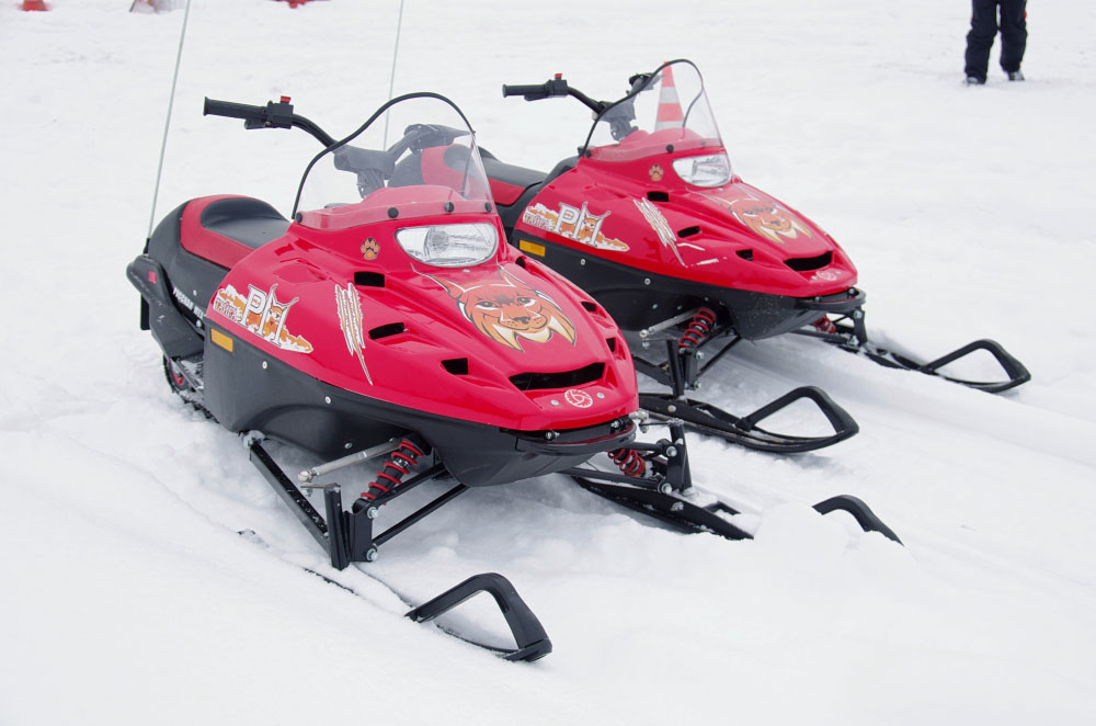 Снегоход РМ ТАЙГА РЫСЬ в Ростове-на-Дону