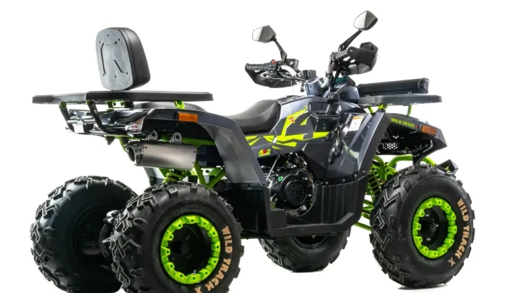 Квадроцикл MOTOLAND (МОТОЛЕНД) VOX200 WILD TRACK X WINCH (баланс. вал) в Ростове-на-Дону