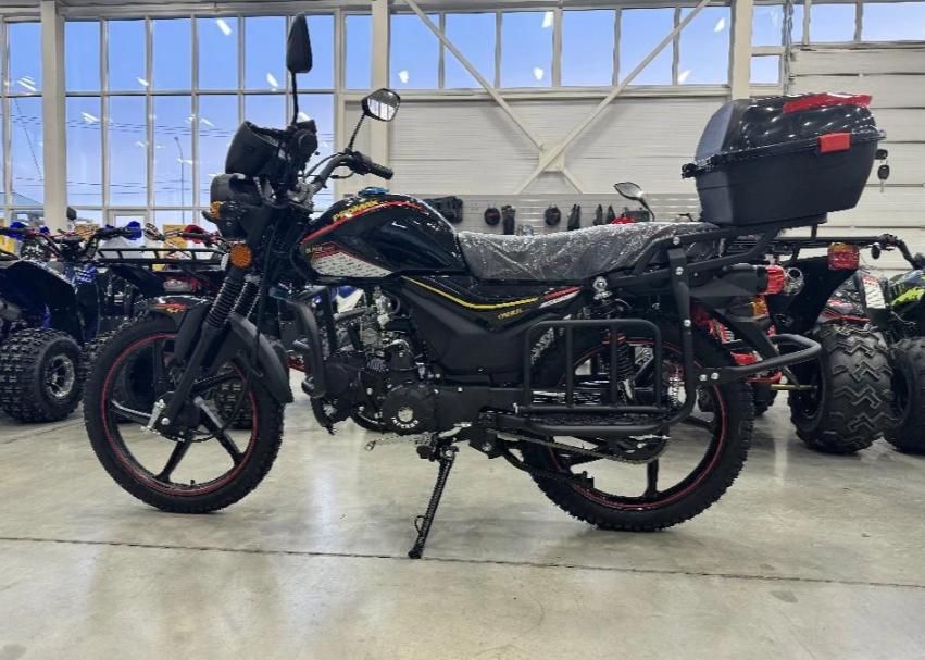 Мопед PROMAX ALPHA TOURIST 150(49) LUX в Ростове-на-Дону