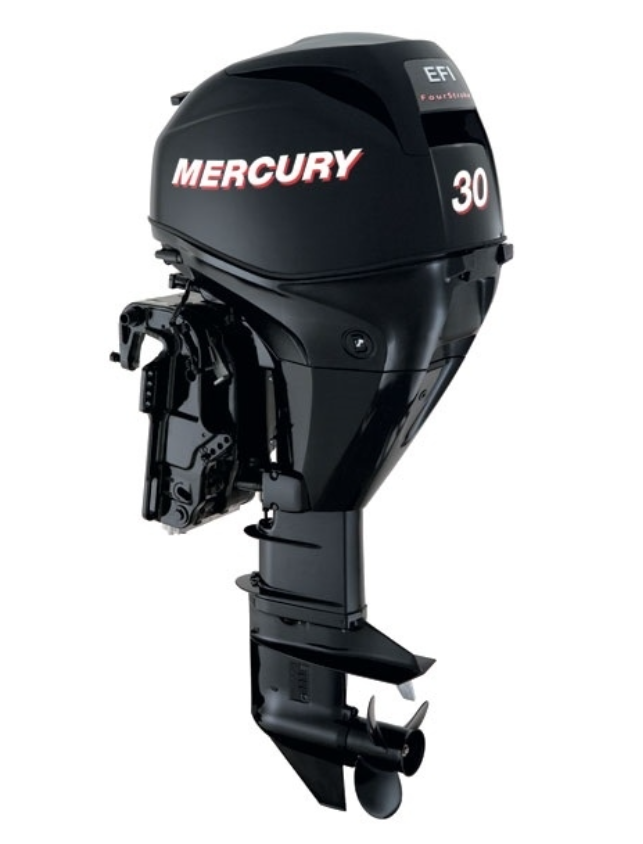 ЛОДОЧНЫЙ МОТОР MERCURY  F 30 ELH GA EFI в Ростове-на-Дону