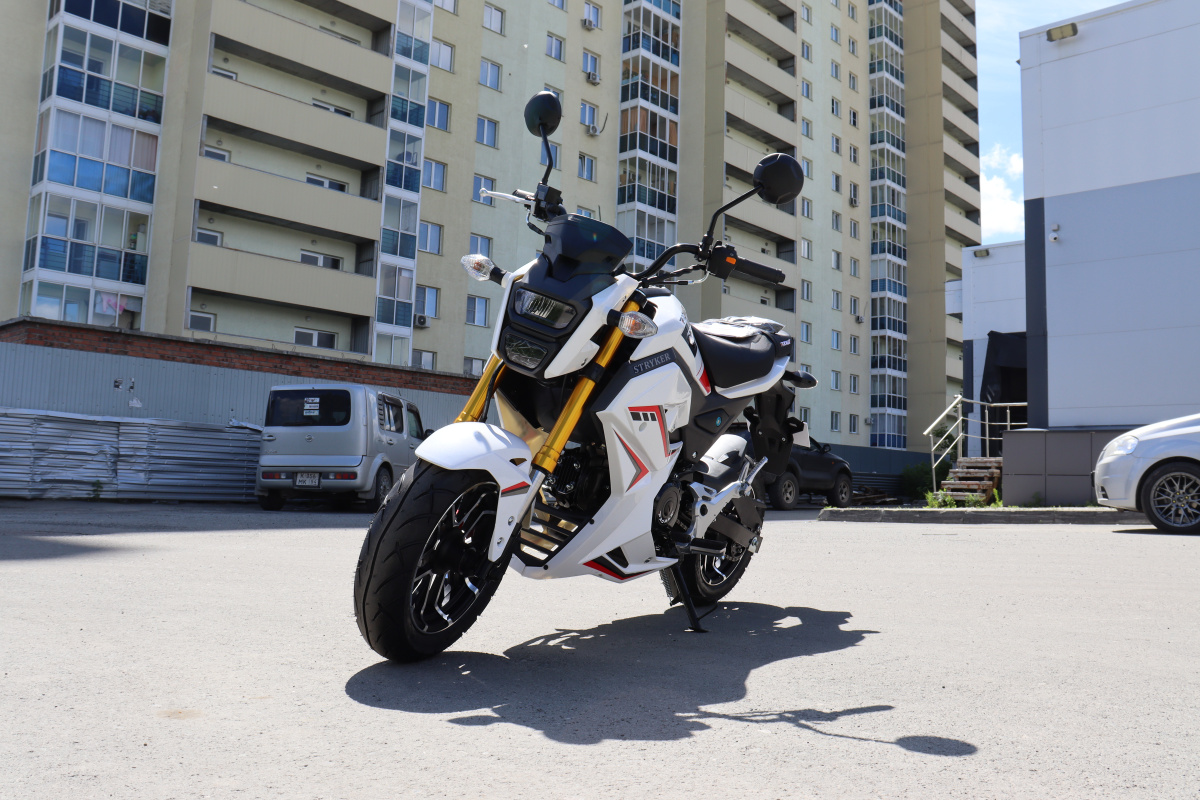 Мотоцикл PROMAX STRYKER 200(49) 2.0 в Ростове-на-Дону