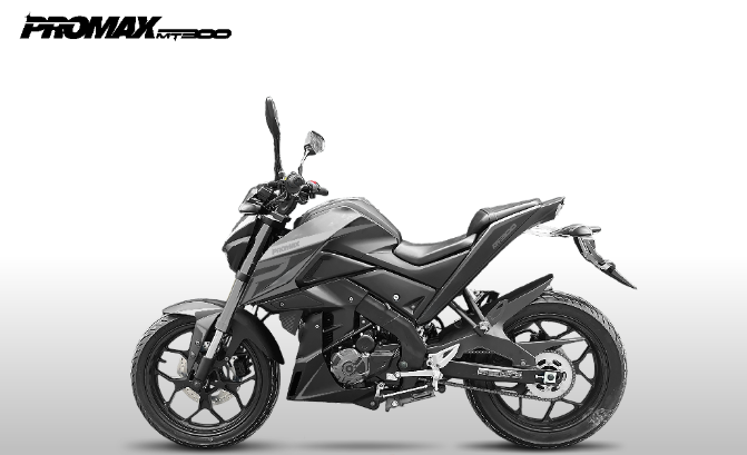 Мотоцикл PROMAX MT300 в Ростове-на-Дону