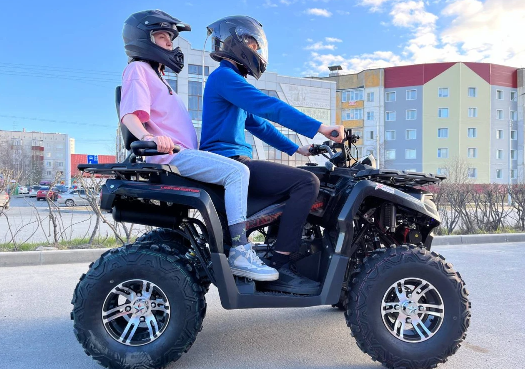 Квадроцикл PROMAX RENEGADE 300 LONG WINCH PRO (2025) в Ростове-на-Дону