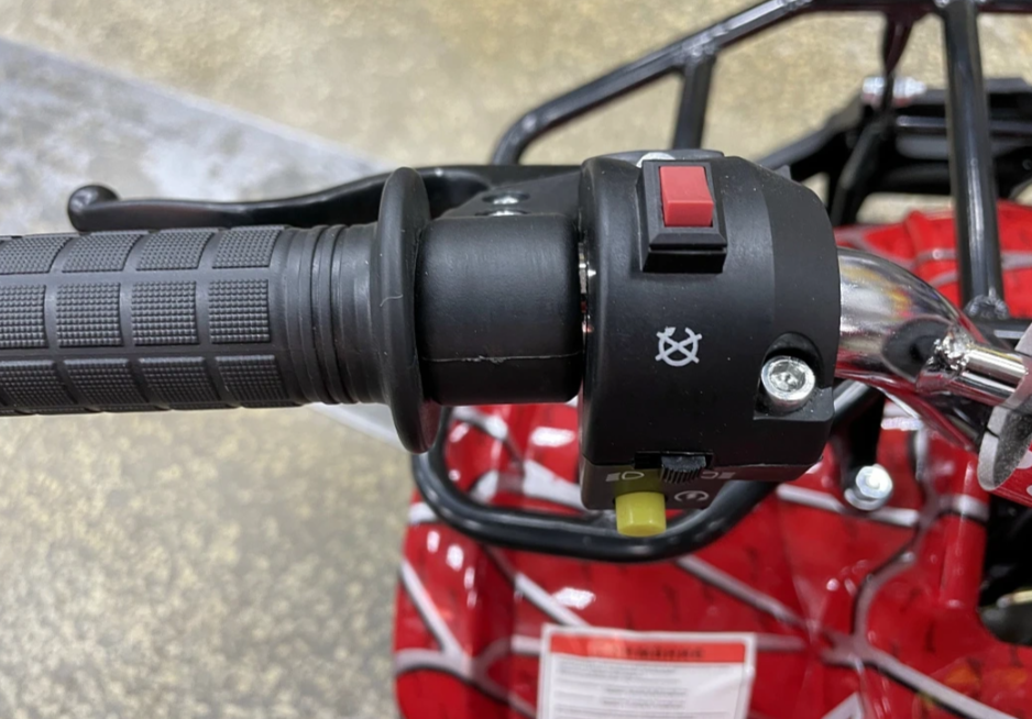 Квадроцикл PROMAX ATV MINI 2T 70CC р/с в Ростове-на-Дону