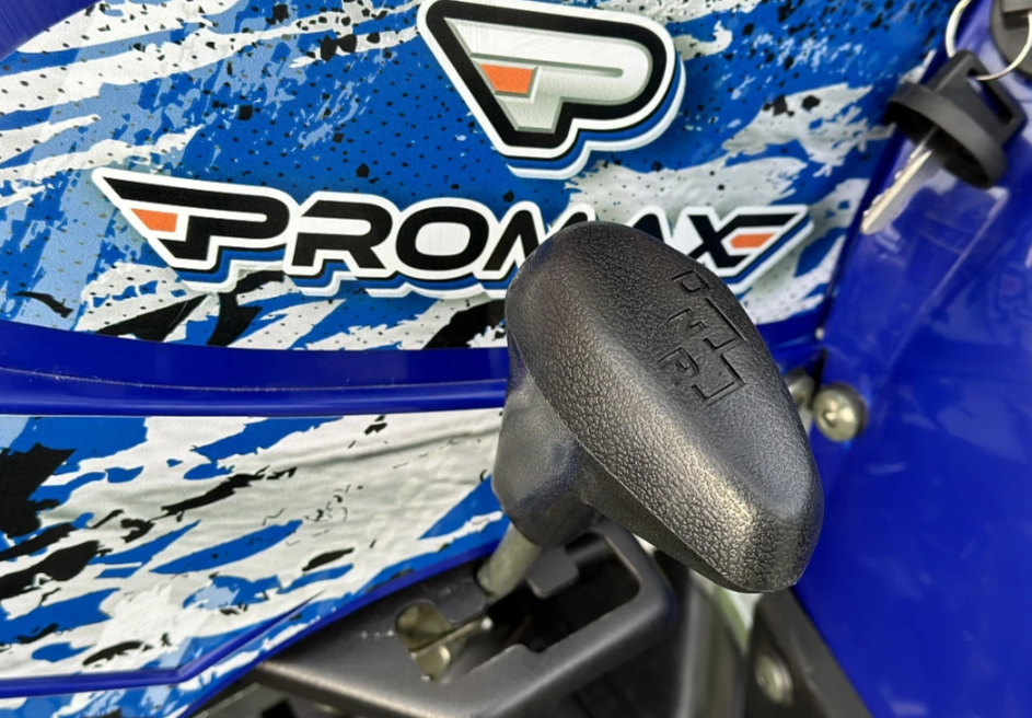  Квадроцикл PROMAX ATV 250 MAX (2025) в Ростове-на-Дону
