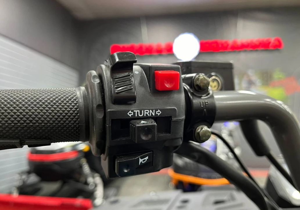 Квадроцикл PROMAX RENEGADE 300 LONG WINCH PRO (2025) в Ростове-на-Дону