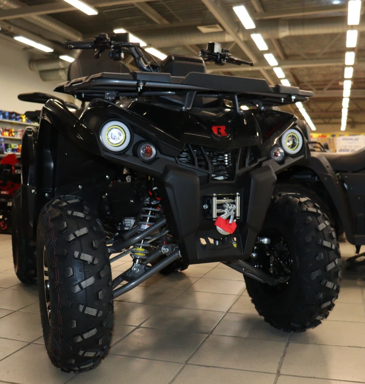 Квадроцикл PROMAX RENEGADE 300 LONG WINCH PRO (2025) в Ростове-на-Дону