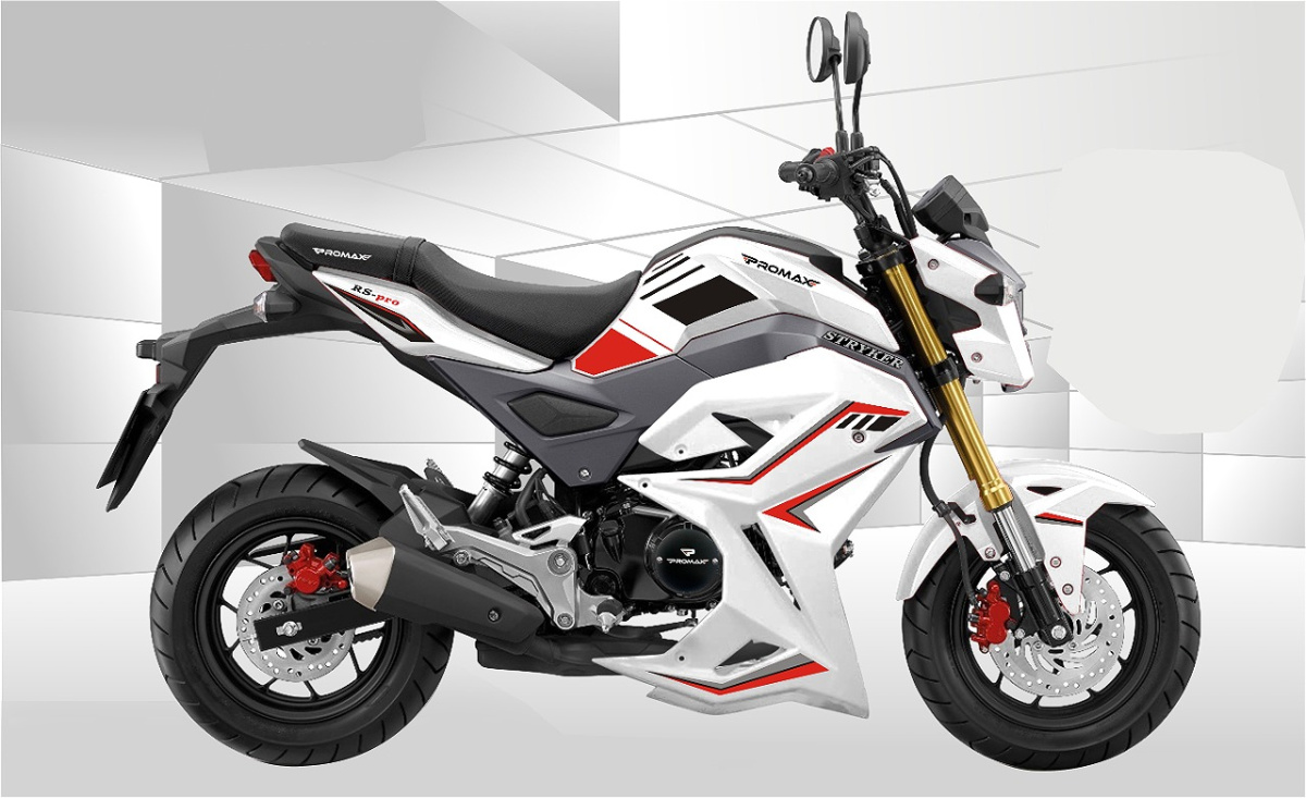 Мотоцикл PROMAX STRYKER 200(49) 2.0 в Ростове-на-Дону