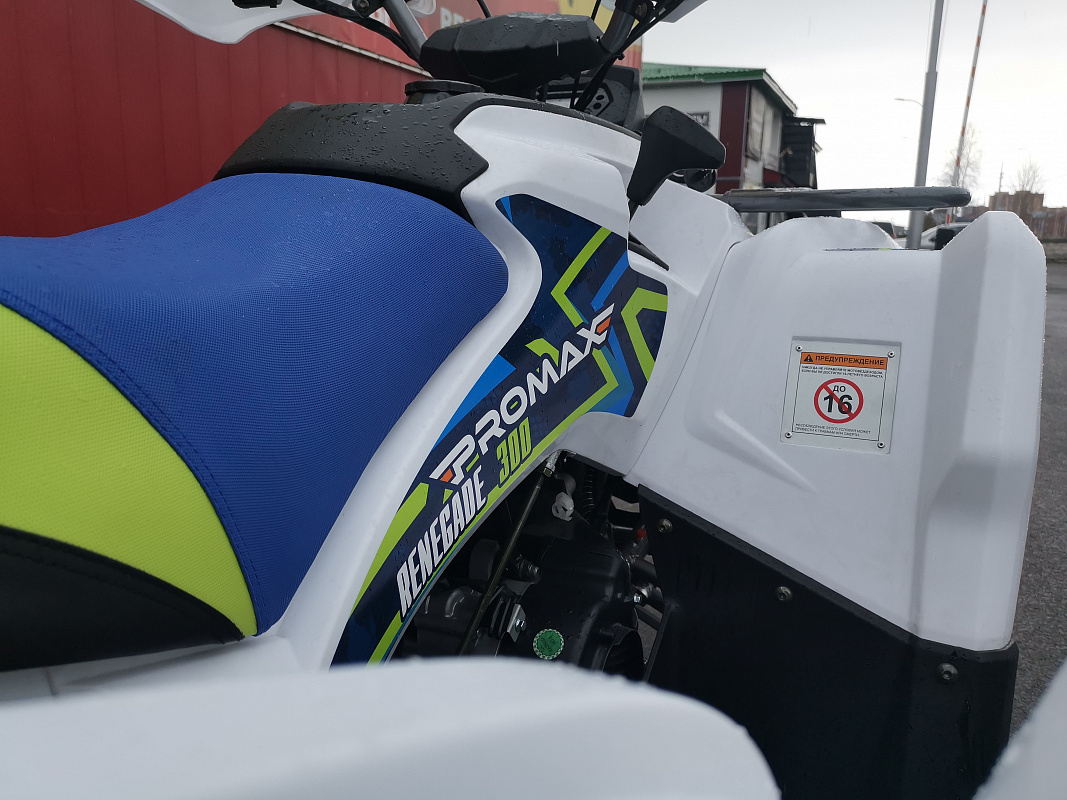 Квадроцикл PROMAX RENEGADE 280 LUX (2025) в Ростове-на-Дону