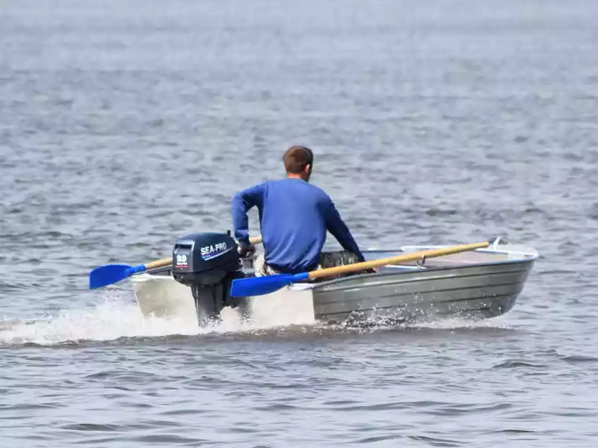 Алюминиевая Wyatboat-320 в Ростове-на-Дону