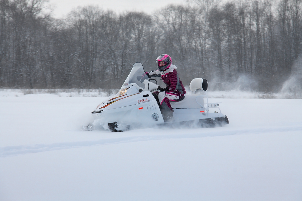 СНЕГОХОД РМ ТАЙГА ПАТРУЛЬ 551 SWT в Ростове-на-Дону