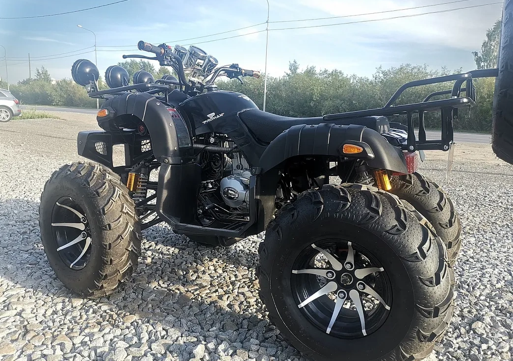 Квадроцикл PROMAX LEO 300 Max (кардан) в Ростове-на-Дону