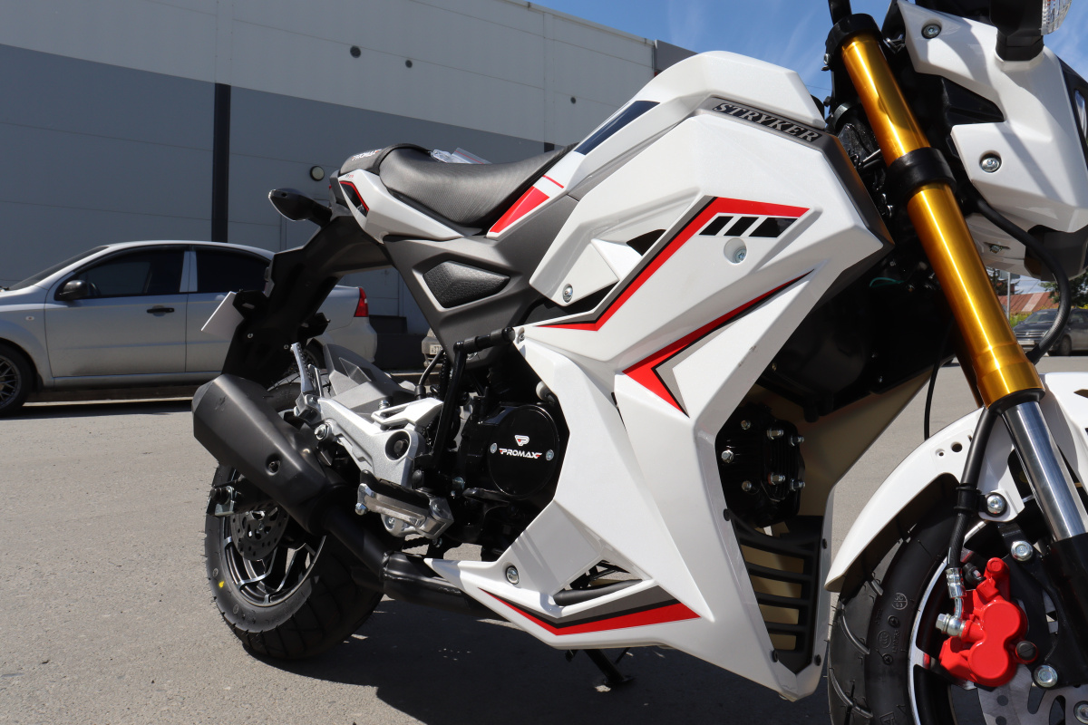 Мотоцикл PROMAX STRYKER 200(49) 2.0 в Ростове-на-Дону