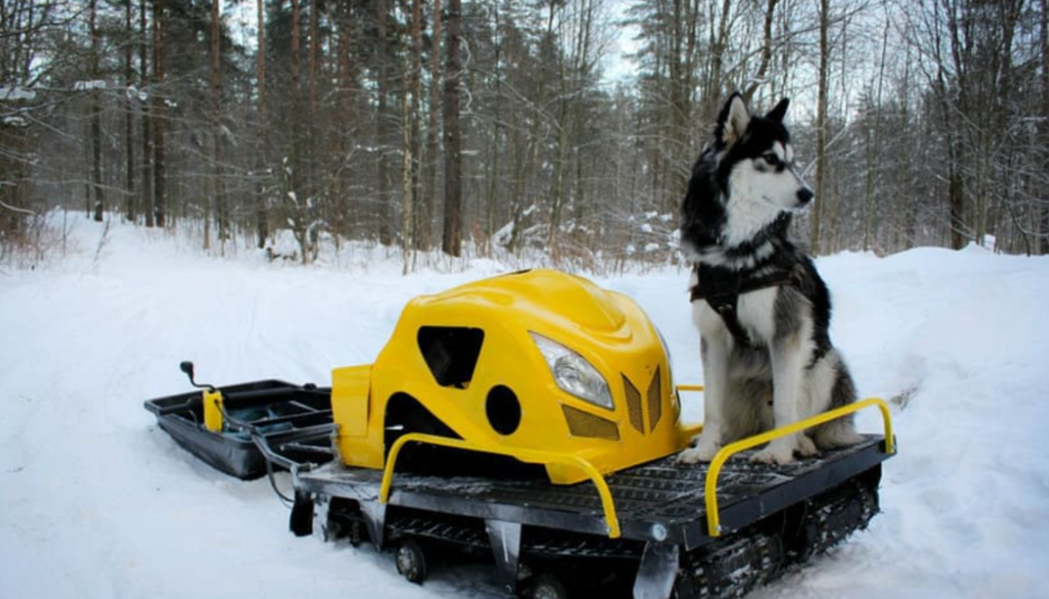 Мотобуксировщик LEBEDEV MOTORS ВОЛКОДАВ POWER V13 в Ростове-на-Дону