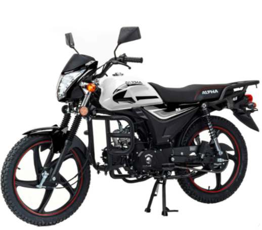 Мопед MOTOLAND (МОТОЛЕНД) Альфа RS 11 (LM48-B) в Ростове-на-Дону