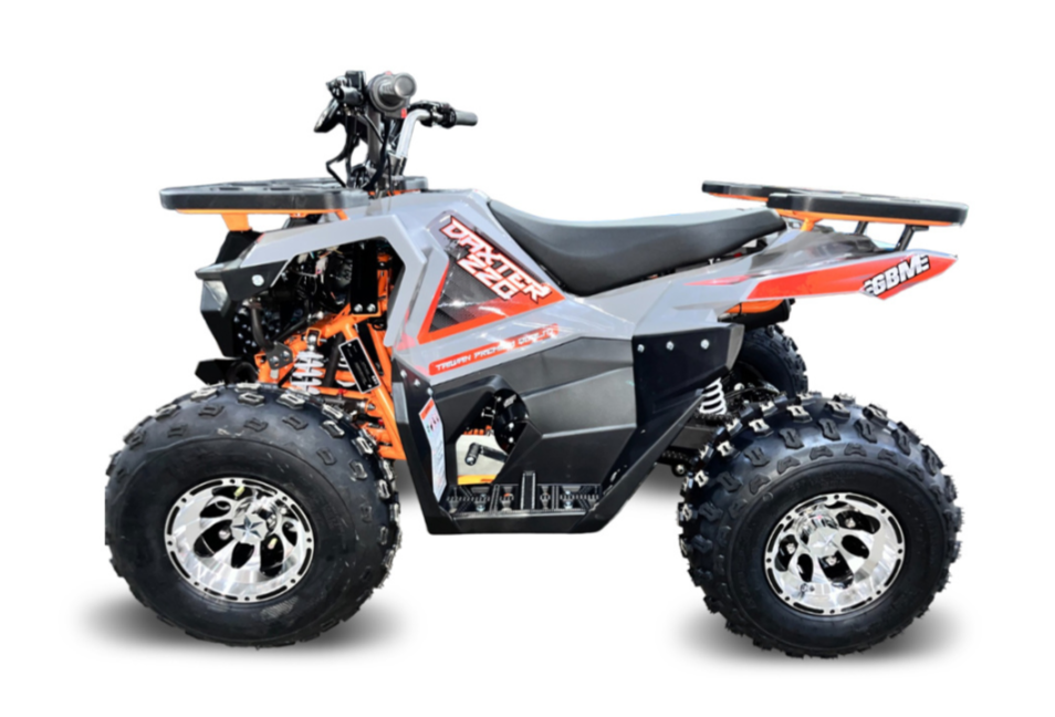 Квадроцикл GBM DAXTER 220 NEW PREMIUM в Ростове-на-Дону