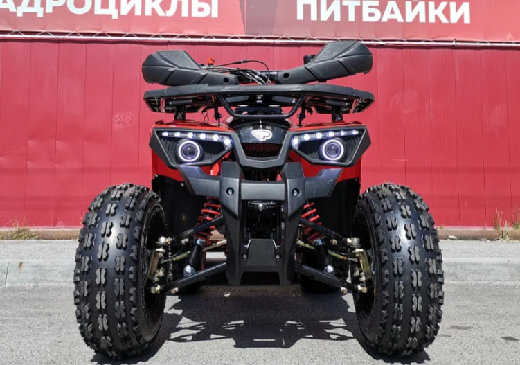 Квадроцикл PROMAX WILD 175 BASIC в Ростове-на-Дону
