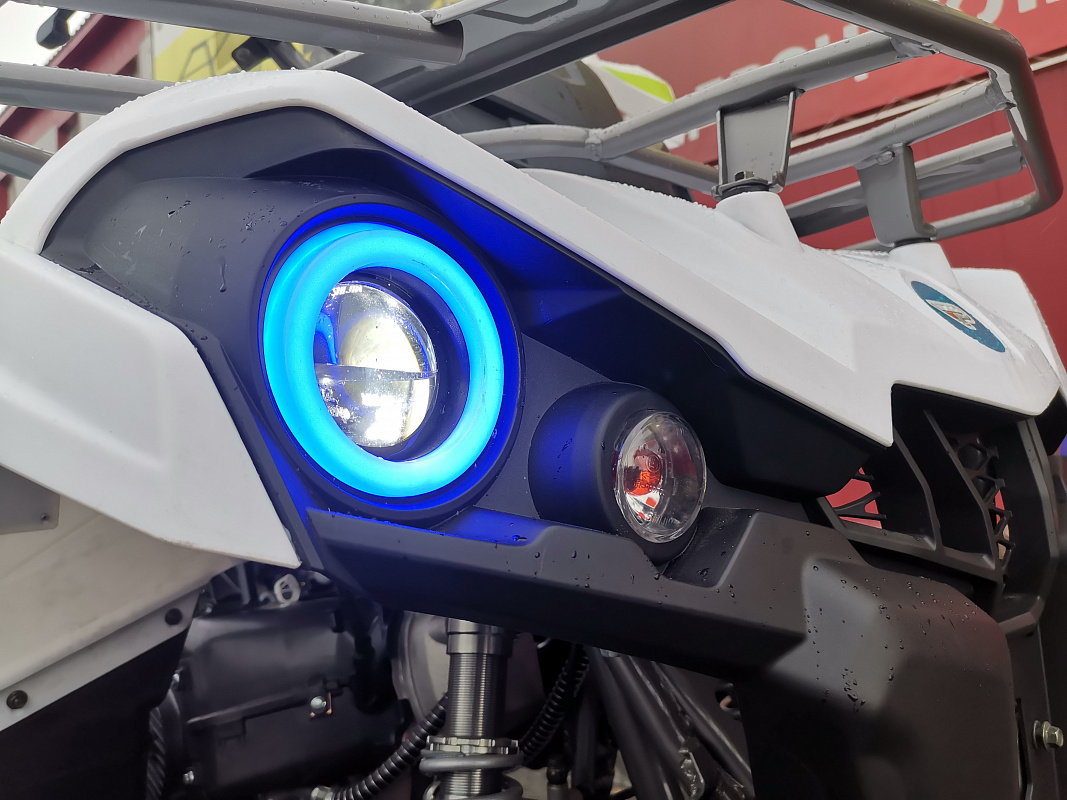 Квадроцикл PROMAX RENEGADE 280 LUX (2025) в Ростове-на-Дону