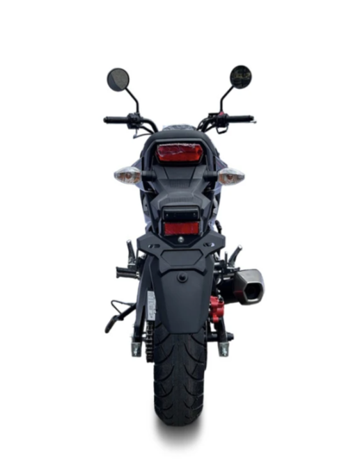 Мотоцикл PROMAX STRYKER 200(49) в Ростове-на-Дону